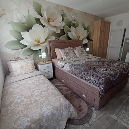 Studio Lotos Belgrad Exteriör bild